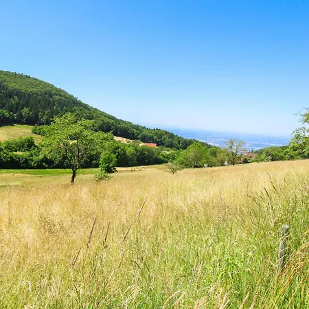 Stunning In With Wifi Sasbachwalden